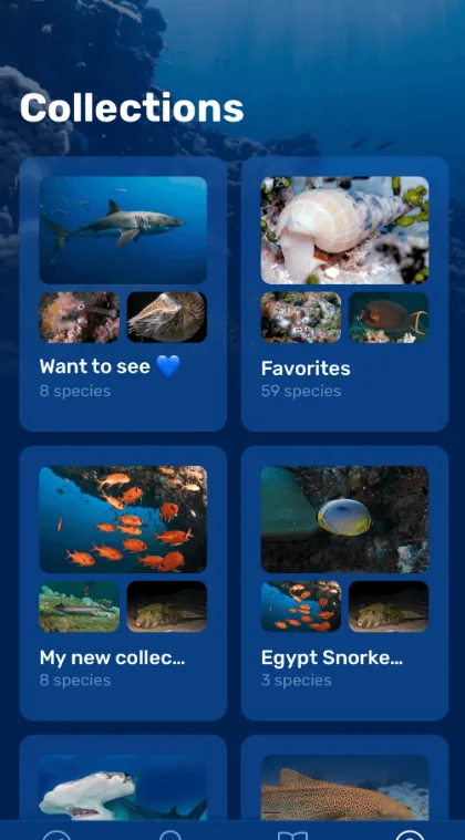 Collections: Want to see, Favorites and trip lists